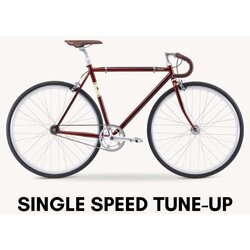 Danny's Cycles Single Speed Tune-Up