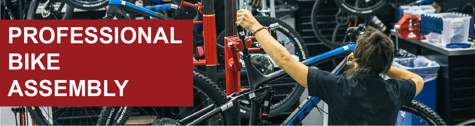 Professional Bike Assembly
