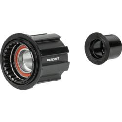 Bontrager Bontrager DT240 Campagnolo N3W Freehub Body
