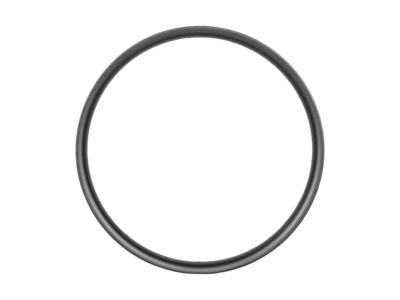 Trek Fetch+ Rim